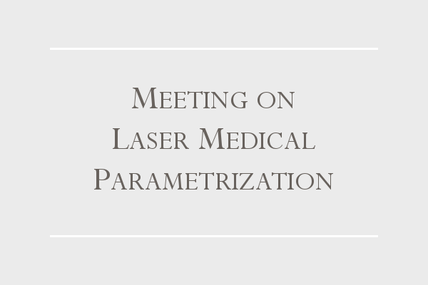 Meeting on Laser Parametrization